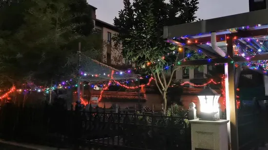 Frog Solar Lights 